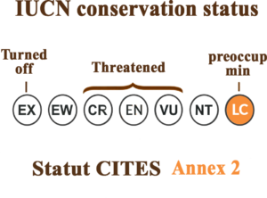 Conservation Status (IUCN Red List)