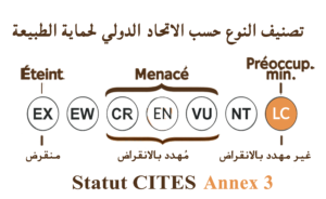 الحالة الراهنة للجنس (IUCN)