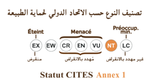 الحالة الراهنة للجنس (IUCN)