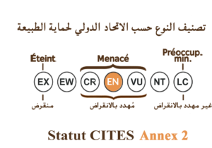الحالة الراهنة للجنس (IUCN)